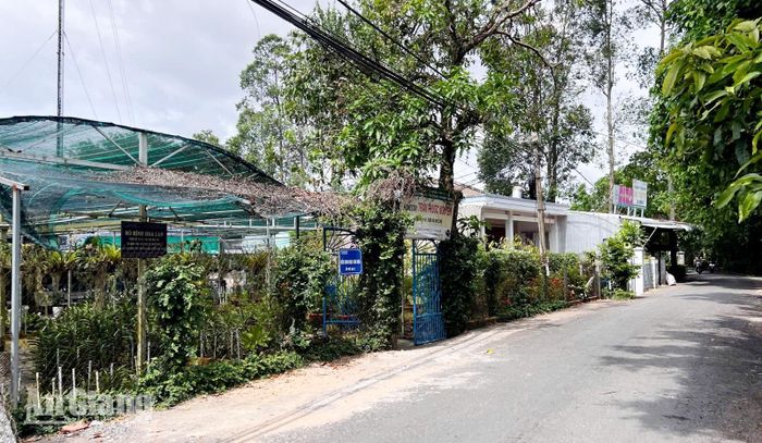 Tận dụng lợi thế cù lao, nhiều hộ dân phát triển mô hình homestay phục vụ du khách đến trải nghiệm, nghỉ dưỡng.