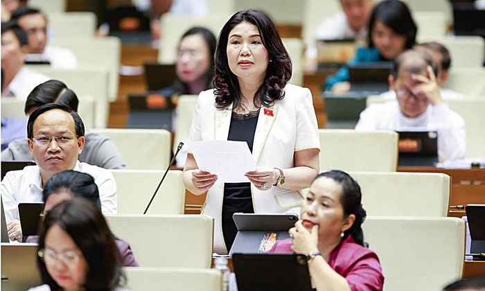 Đồng chí Trần Thị Vân phát biểu thảo luận.