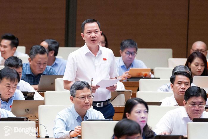 Đại biểu Trịnh Xuân An (Đoàn Đại biểu Quốc hội thành phố Đồng Nai) phát biểu thảo luận tại phiên họp. Ảnh: CTV