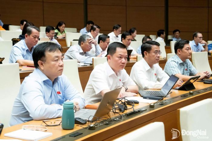Các đại biểu Đoàn Đại biểu Quốc hội thành phố Đồng Nai tham dự phiên họp sáng 11-8. Ảnh: CTV