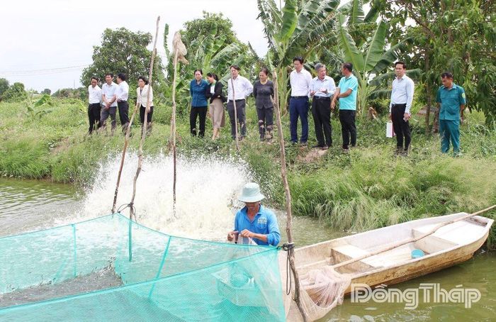 Đoàn công tác tham quan Cơ sở sản xuất cá giống nước ngọt Hậu Phương.