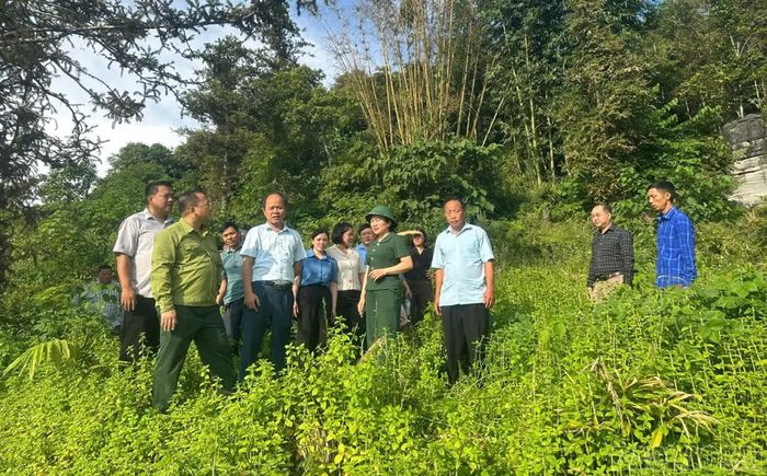 Đoàn khảo sát địa hình và giao thông lên khu vực hang động Ngải Phóng Chồ.