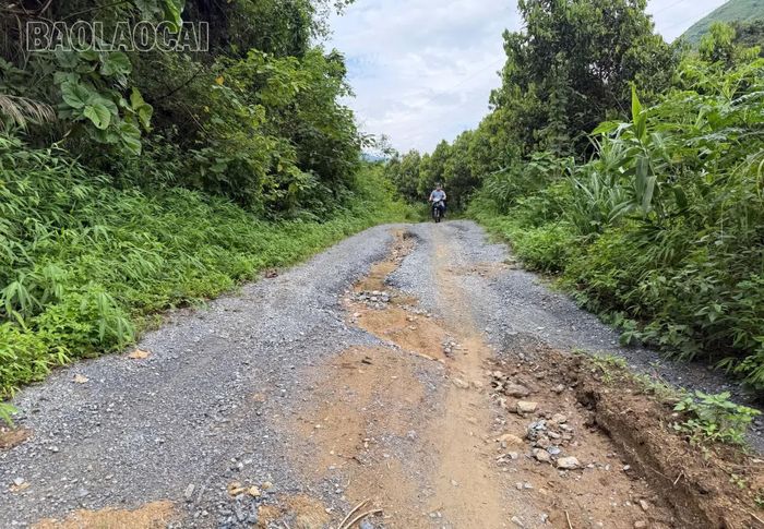 Người dân Nậm Tông kỳ vọng tuyến đường mới rộng rãi, an toàn qua những đồi quế sẽ sớm được hoàn thành, tạo thuận lợi cho việc đi lại và phát triển kinh tế địa phương.
