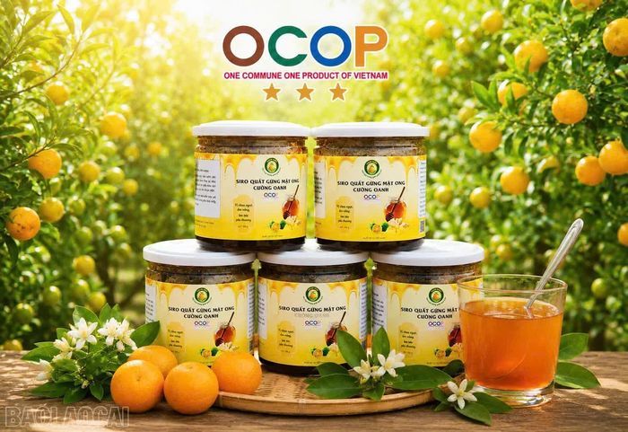 Sản phẩm OCOP và nông sản đặc trưng của tỉnh Lào Cai trưng bày tại "Tuần lễ nhận diện nông sản an toàn, sản phẩm OCOP của tỉnh Lào Cai” ở tỉnh Nghệ An.