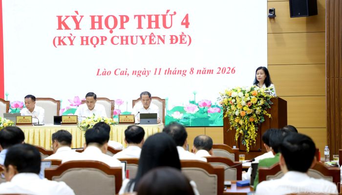 Đại diện các sở, ngành và các Ban HĐND tỉnh trình bày tờ trình, dự thảo nghị quyết và báo cáo thẩm tra tại kỳ họp.