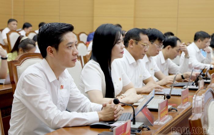 Đại biểu tham dự kỳ họp.