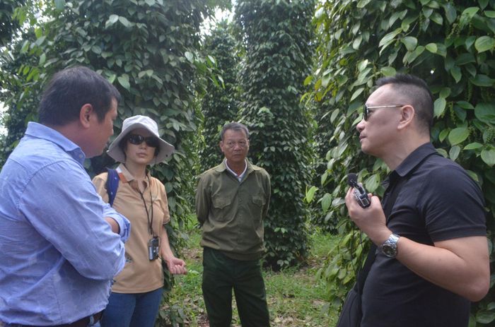 Xã Thuận Hạnh có diện tích hồ tiêu thuộc vùng nông nghiệp ứng dụng công nghệ cao lớn bậc nhất Lâm Đồng và cả nước với trên 1.600 ha.