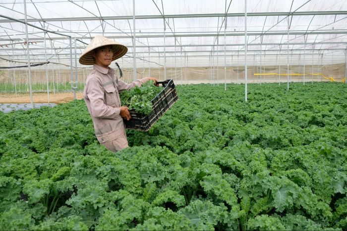 Những tháng đầu năm 2026, tín dụng đối với doanh nghiệp ứng dụng công nghệ cao tại Lâm Đồng giảm sâu