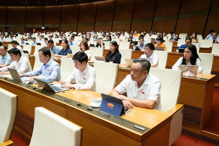 Các đại biểu tham dự