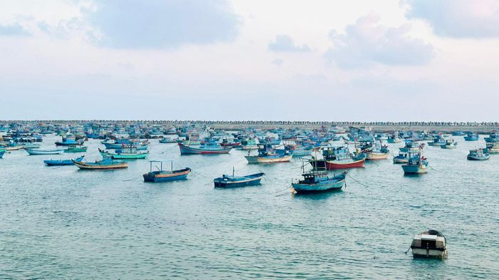 Tàu thuyền neo đậu tại Đặc khu Phú Quý