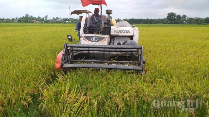 Nghị quyết số 12 có chính sách hỗ trợ 50% kinh phí mua máy móc, trang thiết bị phục vụ cơ giới hóa nông nghiệp - Ảnh: M.L