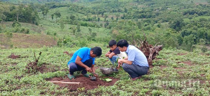 Anh Hồ Ai Béc (ngoài cùng bên trái) trồng dặm cà phê mít trên diện tích 2ha của gia đình ở thôn Trùm, xã A Dơi - Ảnh N.B