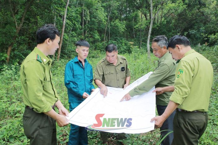 Cán bộ Hạt Kiểm lâm khu vực IX kiểm tra rừng tại tổ dân phố Mường Sang, phường Mộc Châu.