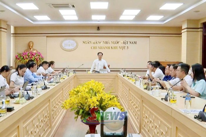 NHNN Chi nhánh Khu vực 3 họp triển khai nhiệm vụ.