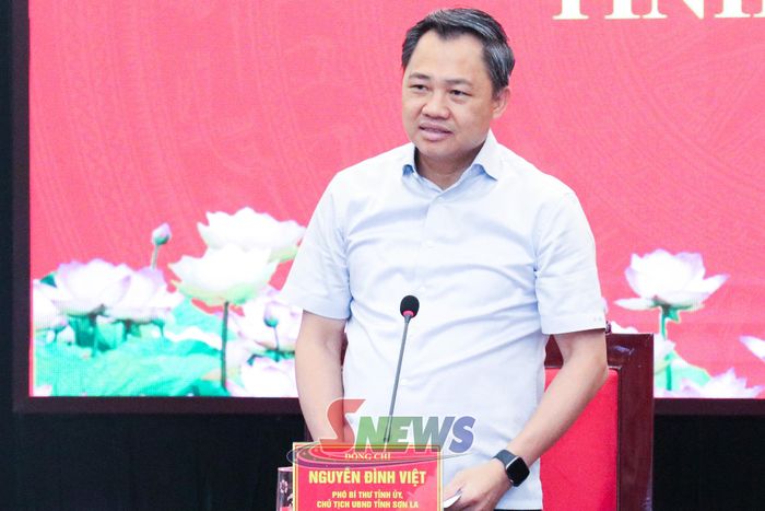 Chủ tịch UBND tỉnh Nguyễn Đình Việt phát biểu chỉ đạo tại cuộc làm việc.