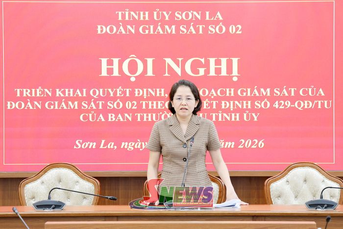 Đồng chí Dương Tú Anh, Ủy viên Ban Thường vụ Tỉnh ủy, Chủ nhiệm Ủy ban Kiểm tra Tỉnh ủy, Trưởng đoàn giám sát phát biểu tại hội nghị.