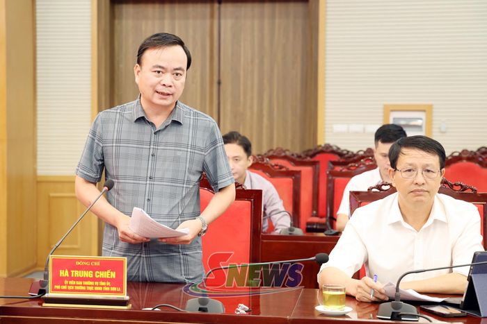 Đồng chí Phó Chủ tịch Thường trực UBND tỉnh phát biểu tại cuộc họp.