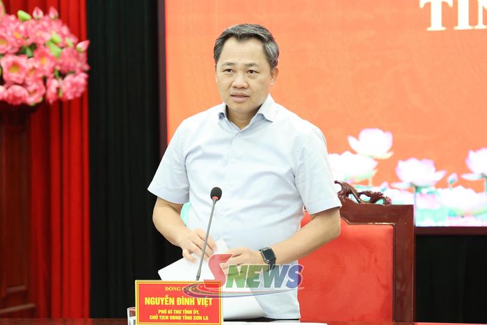 Đồng chí Nguyễn Đình Việt, Phó Bí thư Tỉnh ủy, Chủ tịch UBND tỉnh chủ trì cuộc họp.