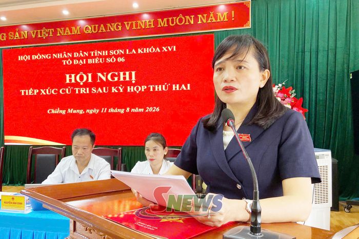 Đồng chí Lường Thị Vân Anh phát biểu tại hội nghị.