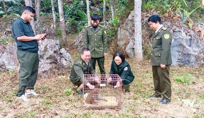 Thả thú hoang dã về tự nhiên góp phần bảo vệ môi trường đa dang sinh học.