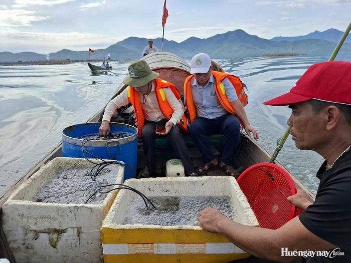 Thả cá xuống đầm Cầu Hai