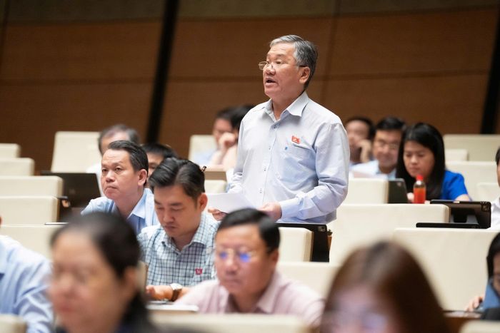 Đại biểu Trịnh Ngọc Phương (đoàn Tây Ninh). Ảnh: Media Quốc hội.