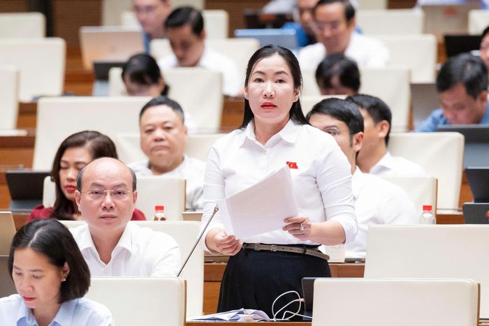 Đại biểu Lê Văn Đông (đoàn TP.HCM) và đại biểu Trần Thị Thu Phước (đoàn Quảng Ngãi). Ảnh: Media Quốc hội.