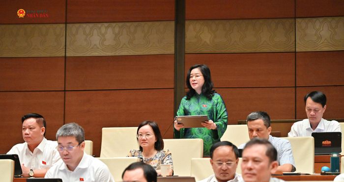 ĐBQH Lê Thị Hoài Chung (Nghệ An) phát biểu. Ảnh: Quang Khánh