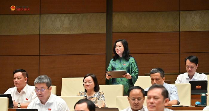 ĐBQH Lê Thị Hoài Chung (Nghệ An) phát biểu. Ảnh: Quang Khánh