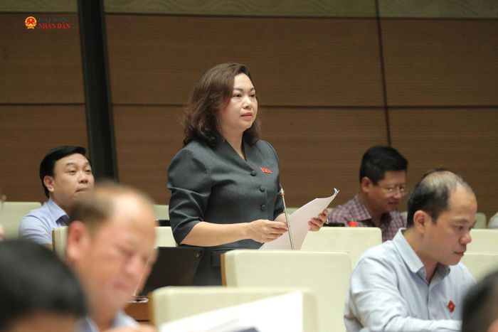 ĐBQH Đặng Bích Ngọc (Phú Thọ) phát biểu