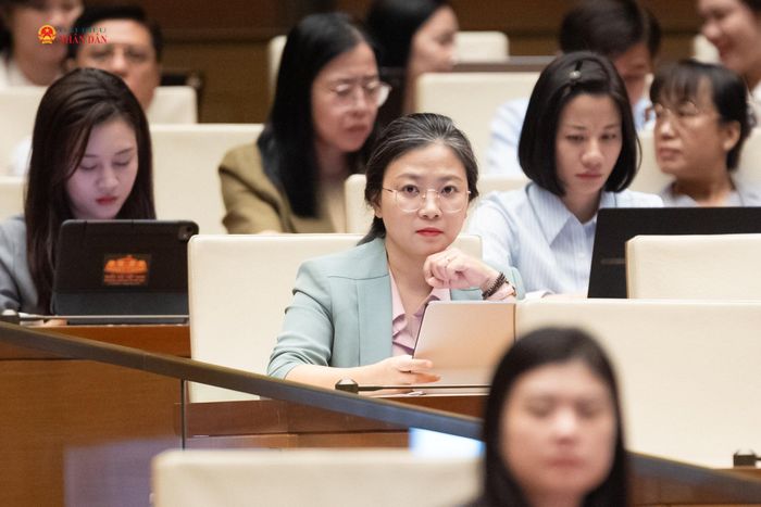 Các đại biểu dự phiên họp