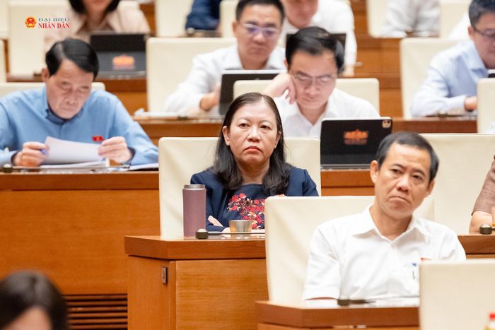 Các đại biểu dự phiên họp