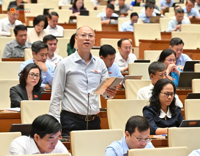 ĐBQH Lê Trung Thành (An Giang) phát biểu