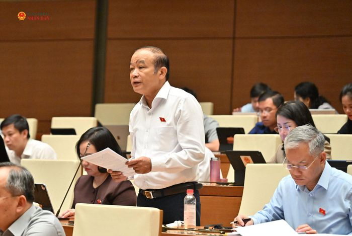 ĐBQH Lã Thanh Tân (TP. Hải Phòng) phát biểu