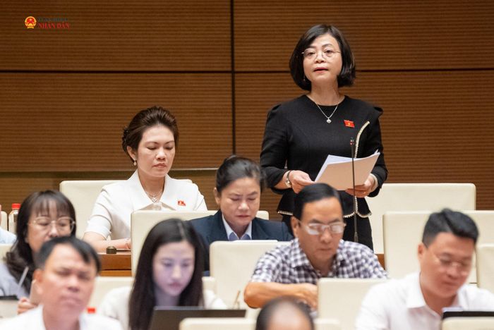 ĐBQH Nguyễn Thanh Cầm (Đồng Tháp) phát biểu