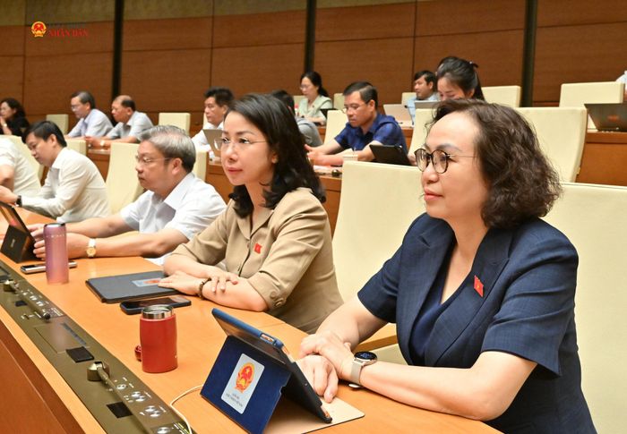 Các đại biểu dự phiên họp