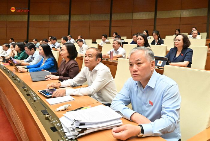 Các đại biểu dự phiên họp