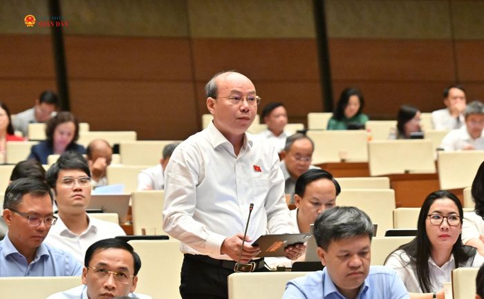 ĐBQH Hoàng Văn Nghĩa (Quảng Nam) phát biểu