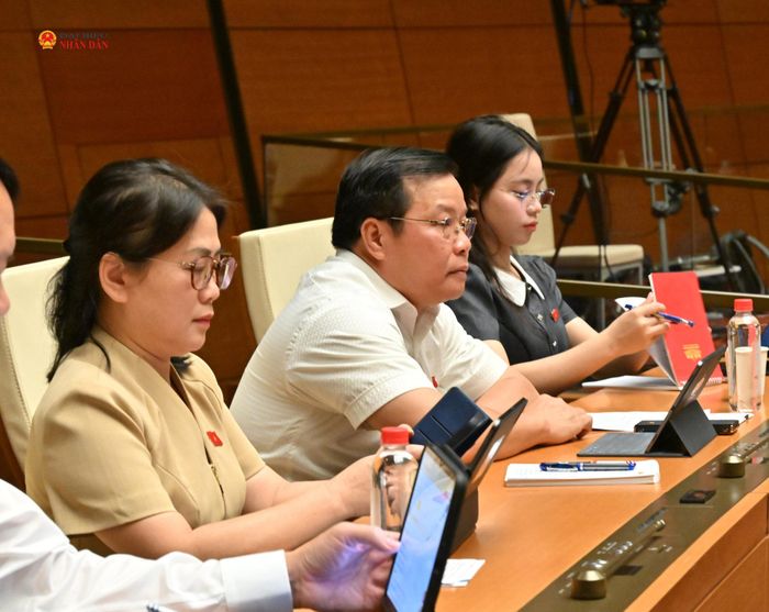 Các đại biểu dự phiên họp