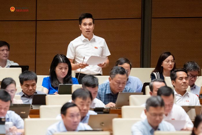 ĐBQH Bùi Thanh Nam (Phú Thọ) phát biểu
