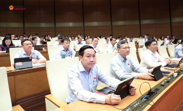 Các đại biểu dự phiên họp