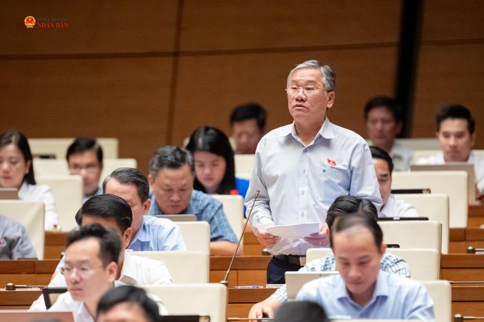 ĐBQH Trịnh Ngọc Phương (Tây Ninh) phát biểu