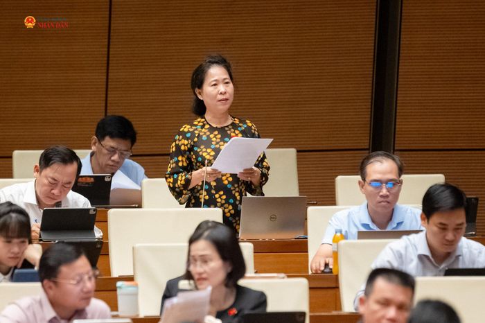 ĐBQH Tô Ái Vang (TP. Cần Thơ) phát biểu