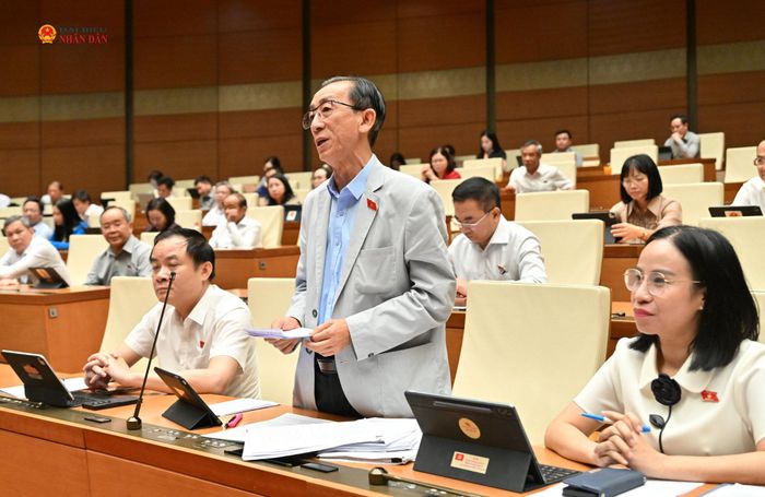 ĐBQH Trần Hoàng Ngân (TP. Hồ Chí Minh) phát biểu
