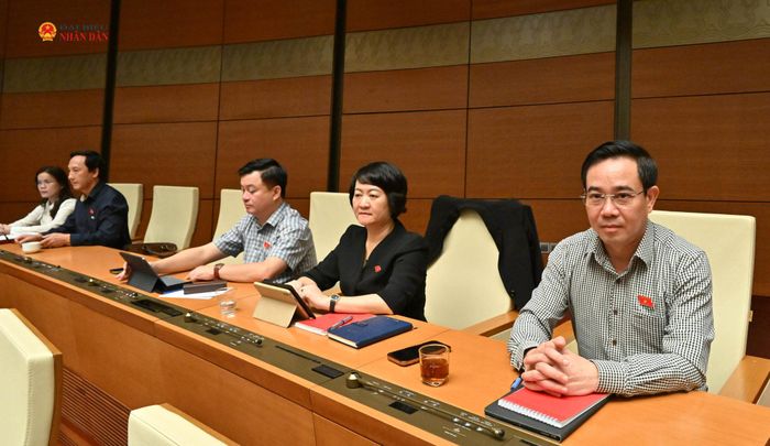 Các đại biểu dự phiên họp