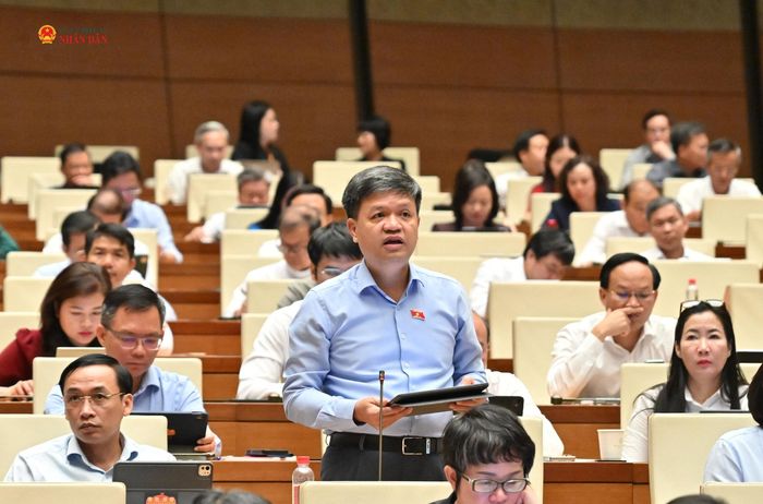 ĐBQH Tạ Đình Thi (TP. Hà Nội) phát biểu