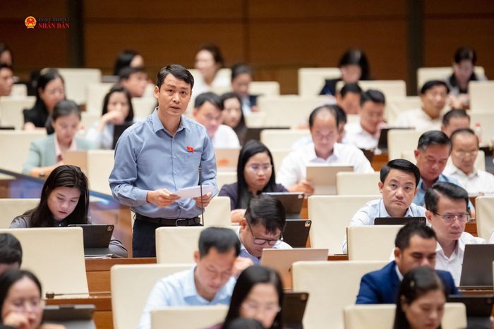 ĐBQH Trần Thế Anh (Ninh Bình) phát biểu
