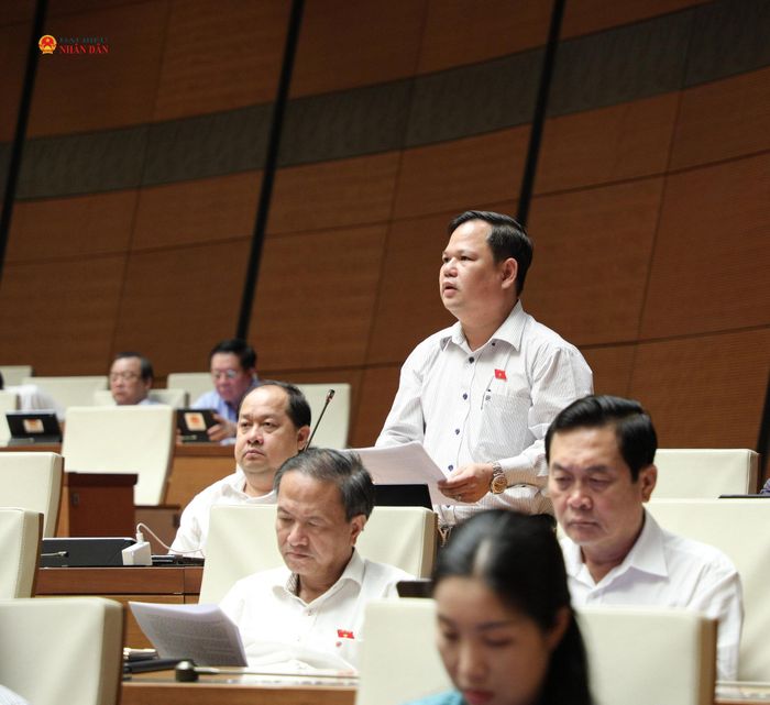Đại biểu Nguyễn Duy Thanh (Cà Mau) phát biểu