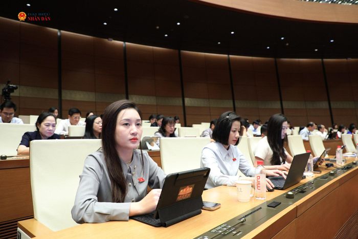 Các đại biểu dự phiên họp