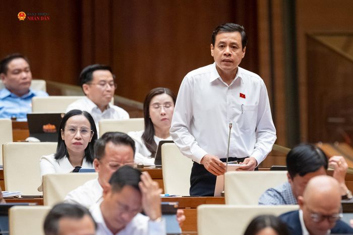 ĐBQH Trần Anh Tuấn (TP. Hồ Chí Minh) phát biểu